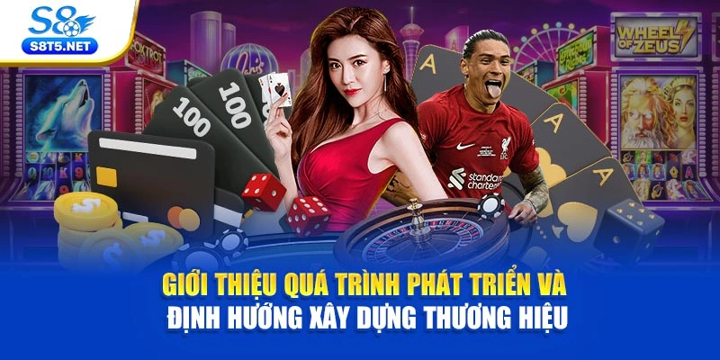 Giới thiệu quá trình phát triển và định hướng xây dựng thương hiệu